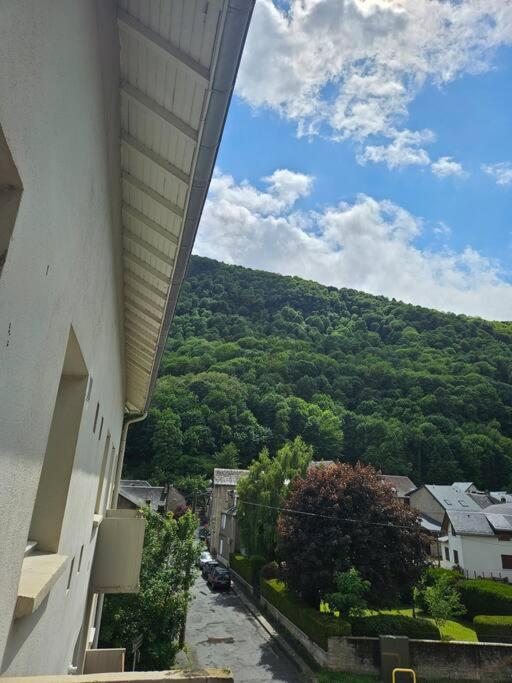 Chez Louise, Appartement T3 A Deux Pas Du Centre Bagneres-de-Luchon Exterior photo